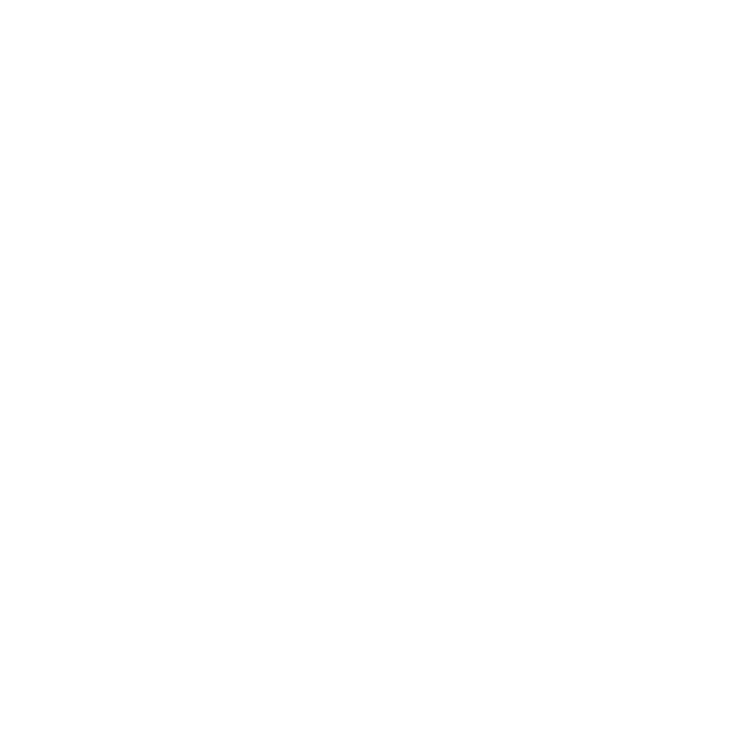 Wrench icon